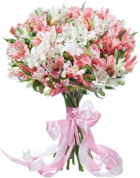 Альстромерии Микс № 2 Альстромерии Микс № 2