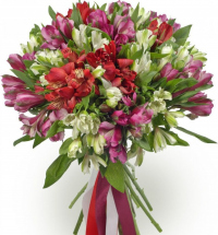 Альстромерии Микс № 3 Альстромерии Микс № 3